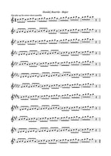 Practical Routines for Flute