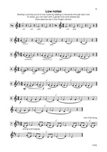 Fluteworthy Basics Book